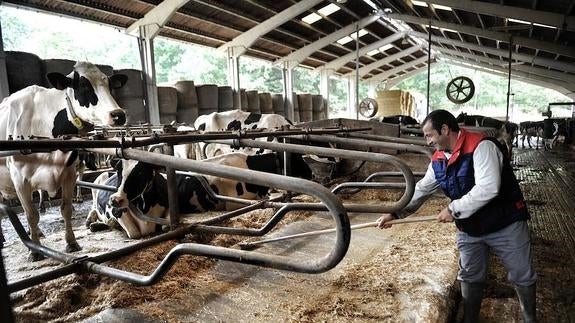 El sector lácteo, ante su «tormenta perfecta»