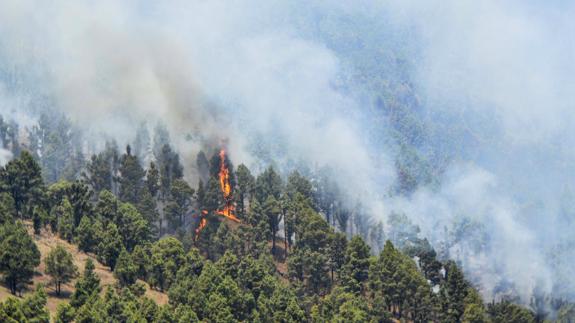 Las brigadas confían en acabar de perimetrar esta noche el incendio de La Palma