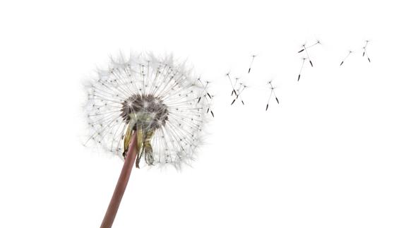 Los alérgicos al polen tendrán una primavera llevadera