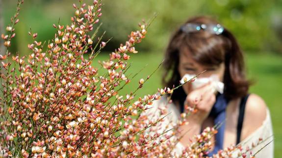 Diez claves para prevenir los síntomas de alergia