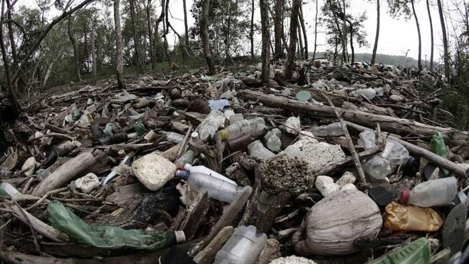 Producen plástico con azúcar y CO2, sin petróleo y biodegradable