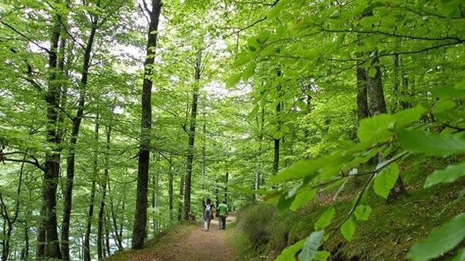 Embalses de Leurtza: un paraíso de la naturaleza