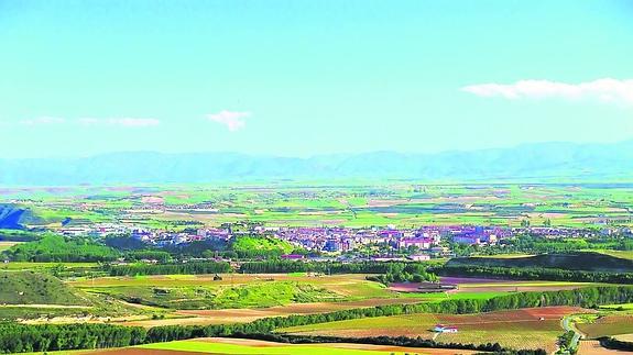 Cuando el vino es pasión