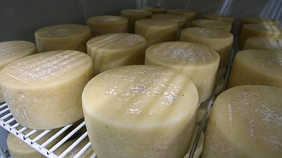 Idiazabal acoge el sábado el XXXIII Concurso de Queso de Pastor de Euskal Herria