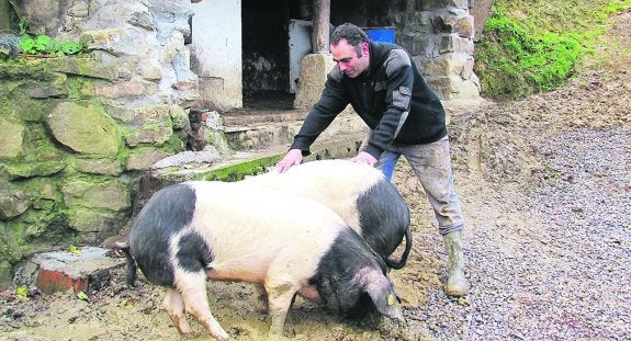 Holan y Merke presiden la fiesta