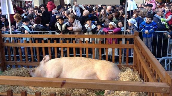 El Santo Tomás más multitudinario
