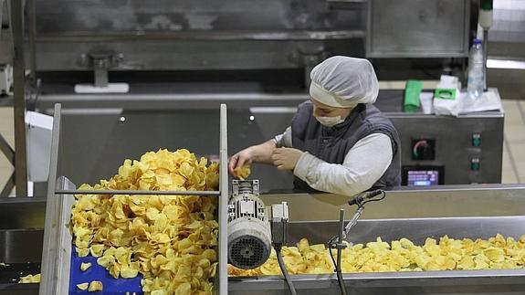 El Gobierno Vasco destinará este año 43,2 millones al fomento del empleo