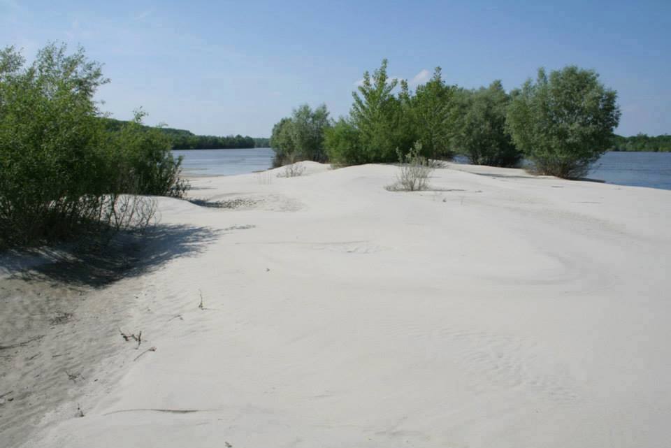 Liberland, nace un nuevo estado europeo