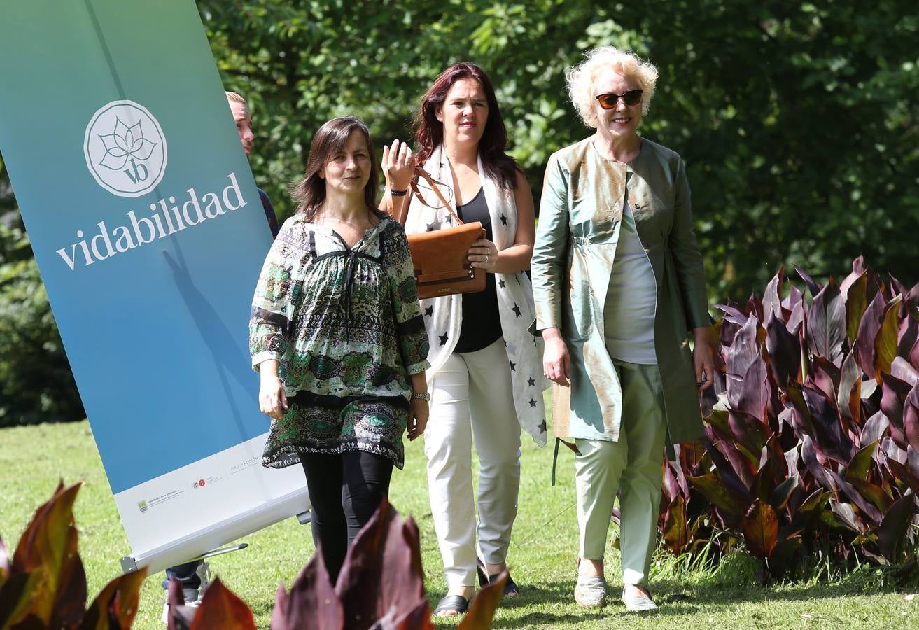 'Vidabilidad', norbanakoaren ekarpen osoen isla