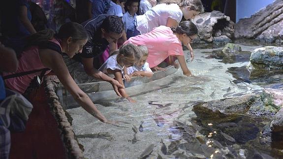 El Aquarium y el Museo Naval organizan actividades estivales para niños