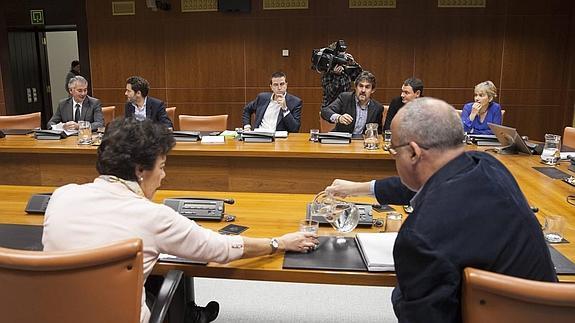 El Parlamento Vasco no logrará el acuerdo sobre un nuevo estatus político en esta legislatura