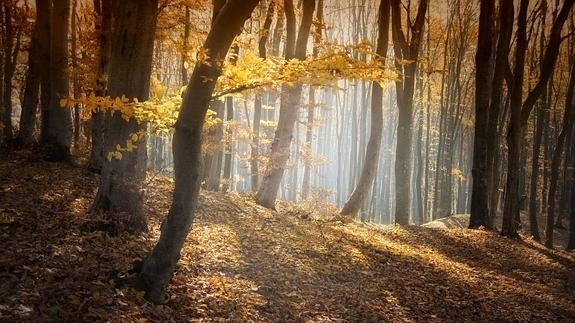 Cómo superar la tristeza otoñal