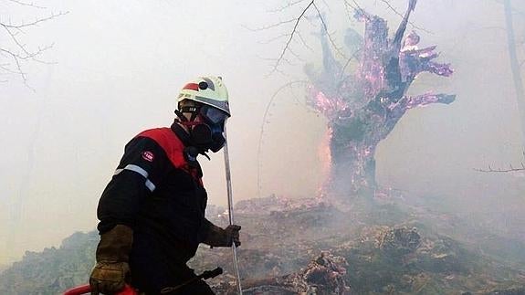 Sigue activo el incendio en la localidad navarra de Arantza