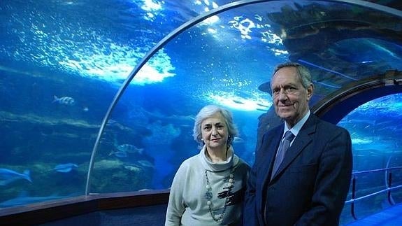 José Ignacio Espel es elegido presidente de la Fundación Oceanográfica de Gipuzkoa