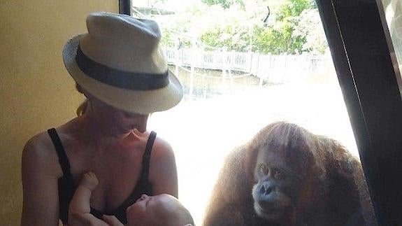 Una mujer dando el pecho deja pasmada a una orangutana