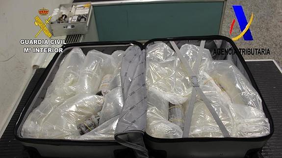 Incautan 43 kilos de angulas vivas en el aeropuerto de Bilbao con destino Shangái