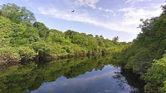 La Tierra es cada vez más verde