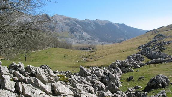 Bide guztiak, Oltzako saroiara