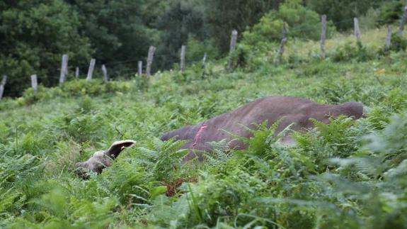 Un muerto y un herido tras ser embestidos por una res en Orio