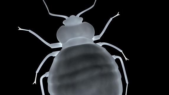 ¿A quién tienes en la cama?