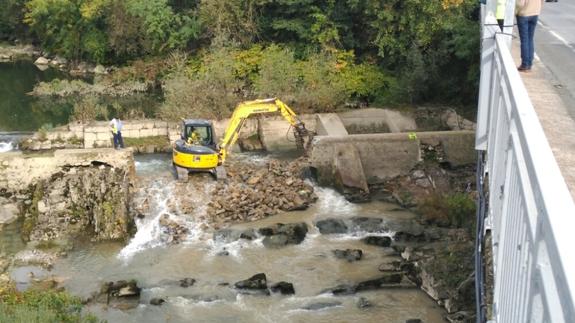 Demolida parcialmente la presa de La Salvadora en Aduna para favorecer el tránsito de salmones