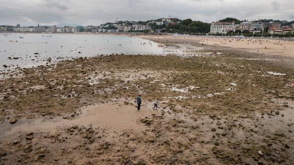 El Ayuntamiento no desea otra recogida manual de piedras en Ondarreta