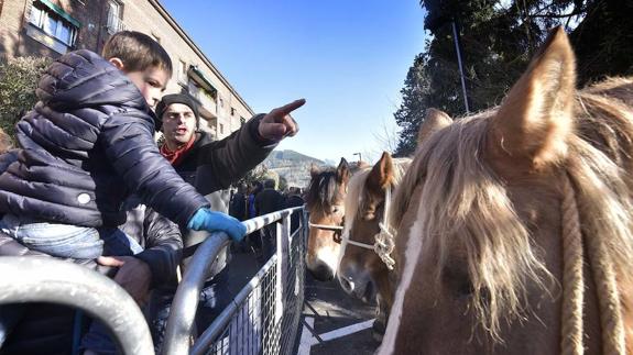 Multitudinaria Feria de Santa Lutzi