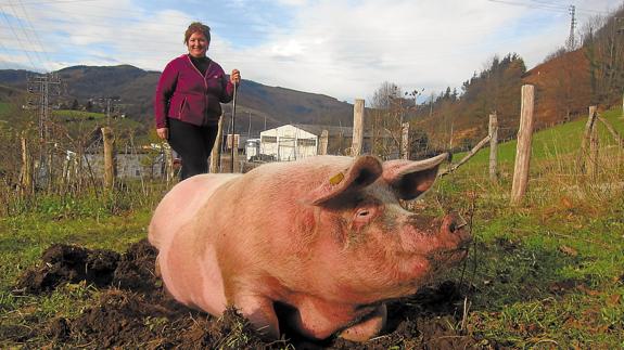 Potxola presumirá de kilos en Santo Tomás