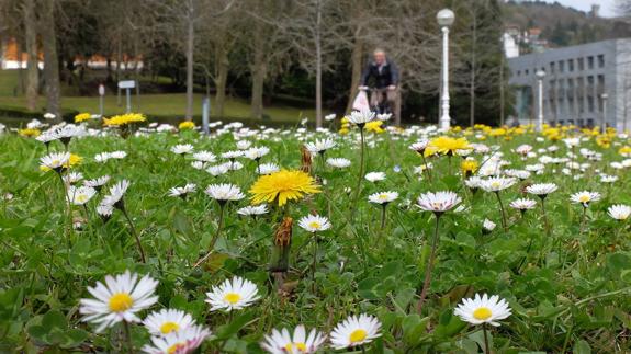 La primavera será normal en cuanto a lluvias y algo más cálida