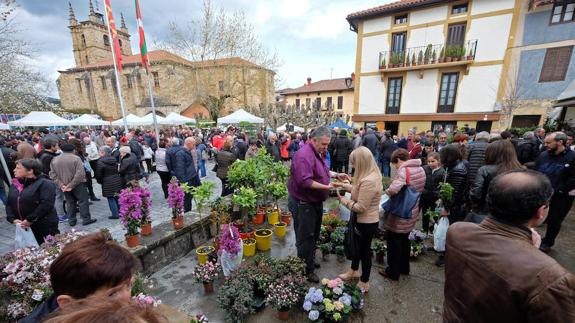 Udaberri koloreak Seguran
