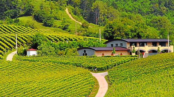 Hiruzta, el txakoli de Hondarribia