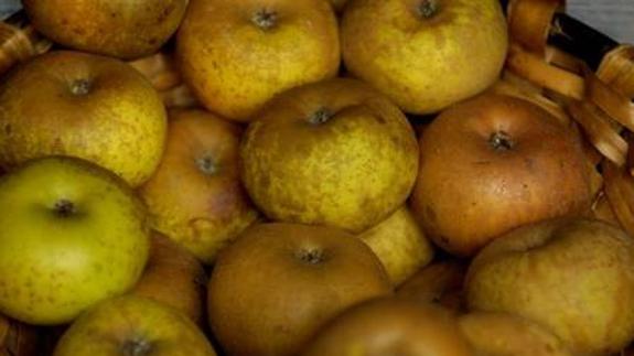 Manzanas con copyright