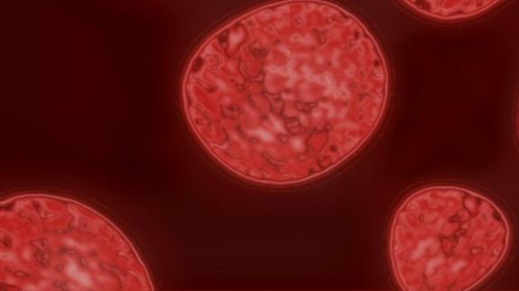 La creación de sangre, cada vez más cerca de ser una realidad